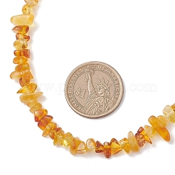 Ожерелья из натуральных янтарных бус для женщин&nbsp;NJEW-JN05871