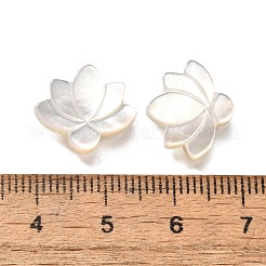 Натуральные белые бусины из ракушек BSHE-Z008-09