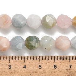 Природные морганит нитей бисера G-H329-E03-10mm-01