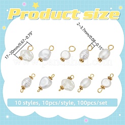 100 шт. 10 стиля АБС пластик имитация жемчуга подвески и соединительные подвески комплекты фурнитуры PALLOY-WR00021