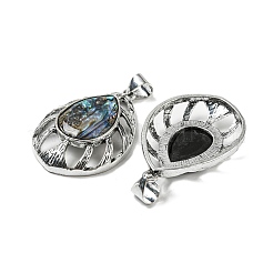 Подвески из натуральной раковины пауа/раковины морского ушка&nbsp;FIND-Z032-01A