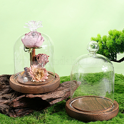 1 шт. стеклянный купол&nbsp;AJEW-SC0002-60A-02