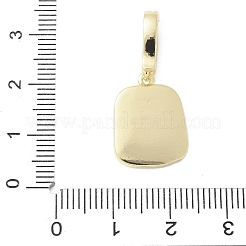 Латунь эмаль подвески&nbsp;LS-KK-F886-01G-03