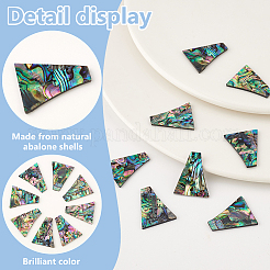 8 шт. кабошоны из натуральной ракушки-ушка/ракушки пауа SHEL-BC0001-037C