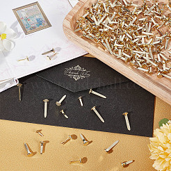 350 шт. 7 стиля железных гвоздей IFIN-GF0001-29G