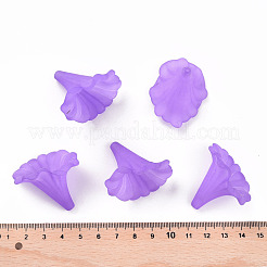 Прозрачные акриловые бусины BSF796-C26