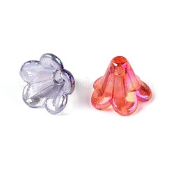 Прозрачные колпачки акриловая цветок шарик&nbsp;TACR-T030-25M