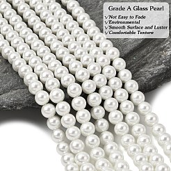 Круглые бусины из экологически чистого окрашенного стекла с жемчугом&nbsp;HY-A008-8mm-RB001