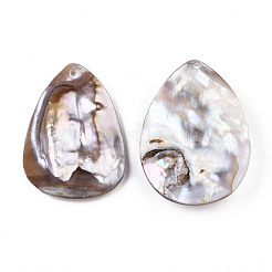 Естественный пресноводный оболочки SHEL-Q312-005