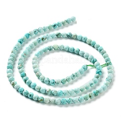 Бусы натуральная перуанская бирюза (яшма) G-J401-A01-01