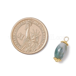 Подвески из натурального мохового агата (окрашенного и нагретого) PALLOY-JF04532-01