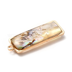 Латунь эмаль подвески&nbsp;KK-K252-10G-05