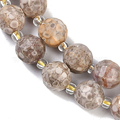 Натуральные бусины из ископаемых раковин G-G182-B37-03-1