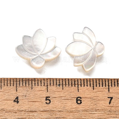 Натуральные белые бусины из ракушек BSHE-Z008-09-1