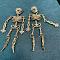 Skeleton Alloy Rhinestone Dangle Stud Earrings, Golden, 100x28mm
