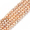 Natural Cultured Freshwater Pearl Beads Strands, Round, Dark Orange, 5~6x5.5~6mm, Hole: 0.6mm, about 69pcs/strand, 13.77 inch(35cm)