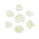 Кабошоны из светящейся цветочной смолы CRES-T025-10G-4