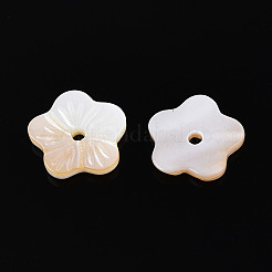 Бусины из натуральных пресноводных ракушек BSHE-T014-15