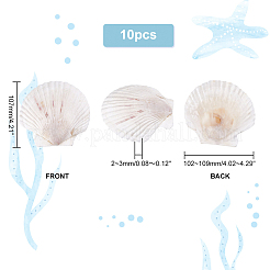 Украшения дисплея естественной оболочки SSHEL-WH0001-39D