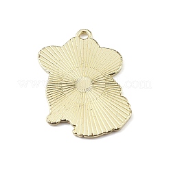 Подвески из эмали и сплава&nbsp;ENAM-R137-02G-05