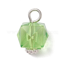 Прозрачные акриловые подвески&nbsp;PALLOY-JF04258-02