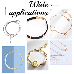 12 шт. ионное покрытие (IP) застежки-лобстеры из нержавеющей стали 304 STAS-UN0040-75