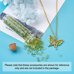 Стеклянная бутылка желающих DJEW-TA0001-01