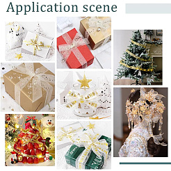 2 рулон 2-х видов печатных лент из органзы SRIB-PH0001-29