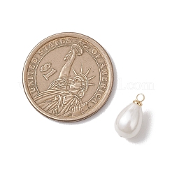 Подвески в форме капли из перламутра&nbsp;PALLOY-JF04859