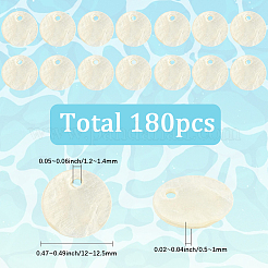 180 шт. подвески из ракушек капиз&nbsp;SHEL-SC0001-89