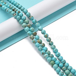 Природные Говлит бисер нитей G-E604-B03-B