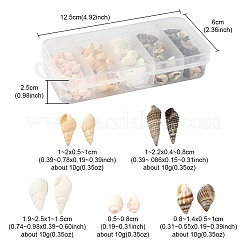 5 стили смешанные бусины из натуральных ракушек SSHEL-YW0001-04