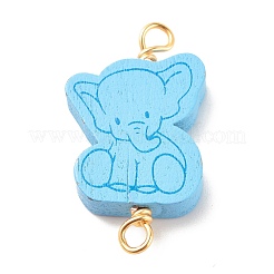 Окрашенные аэрозольной краской деревянные соединительные шармы&nbsp;PALLOY-JF01427-12