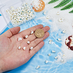 100 шт. 2 цвета натуральные трохус ракушки самородки подвески PALLOY-FH00130