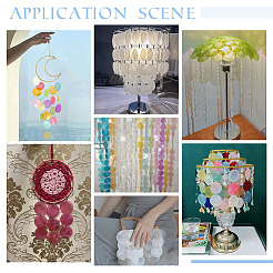 80 шт. 8 цвета натуральный Capiz ракушка соединительные подвески SHEL-PH0001-49