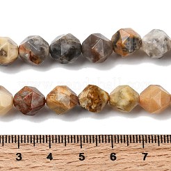 Природные сумасшедший агат бисер нитей G-Z119-A13-03