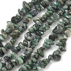 Природного нефрита нитей бисера G-Z081-A02