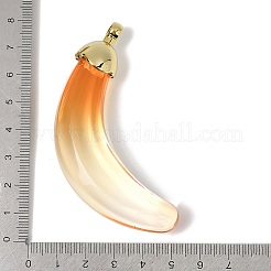 Прозрачные акриловые большие подвески&nbsp;OACR-A040-12