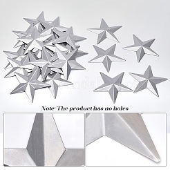 Железа кабошонов&nbsp;IFIN-WH20009-01D-P