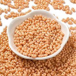 Выпечка краска стеклянные бусины SEED-K009-01A-13