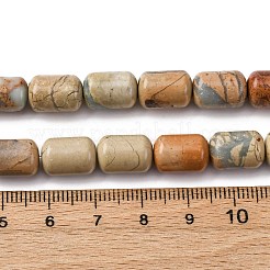 Натуральные бусины из аква терра яшмы G-L624-C03-12x8mm