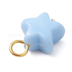 Непрозрачные акриловые подвески&nbsp;PALLOY-JF04199-01