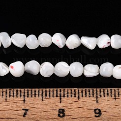 Нити бусин из натуральных трохоидных/трохус ракушек SSHEL-N040-07