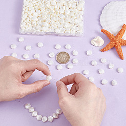 300шт бусины из искусственного жемчуга из АБС-пластика&nbsp;OACR-UN0001-06