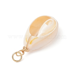 9 шт. подвески из натуральной ракушки каури&nbsp;PALLOY-JF03700-03