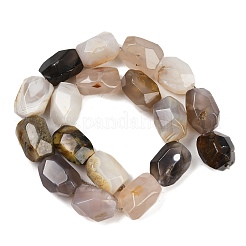 Природные Ботсвана агат бисер нитей&nbsp;G-F796-C03-01