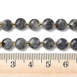 Натуральные нити бус из ларвикита&nbsp;G-K389-B85-01