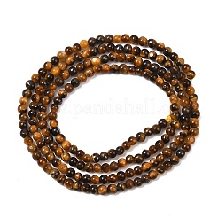 Природных тигровый глаз бисер нитей G-G099-2mm-4