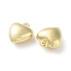 Пластмассовые подвески ccb CCB-C001-09F-G