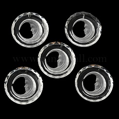 Прозрачные стеклянные подвески GLAA-F118-06